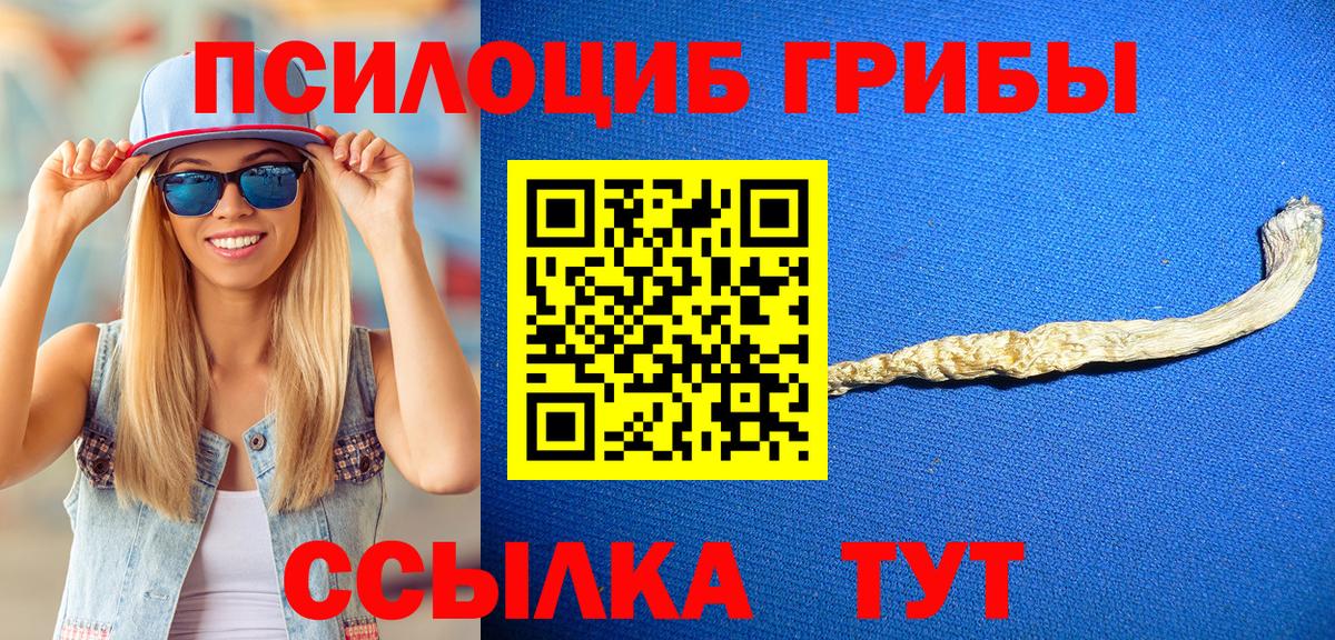 Псилоцибиновые грибы MAGIC MUSHROOMS Кисловодск