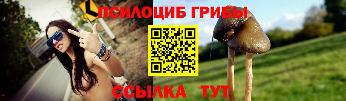 Кисловодск  Галлюциногенные грибы MAGIC MUSHROOMS  Вход с VPN 